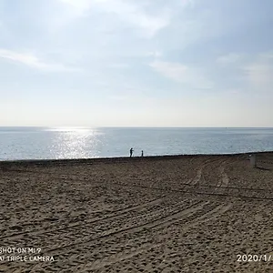 Adelfas Mar Benajarafe